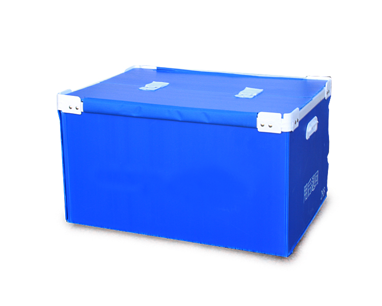 1529454606249966.jpg IMG_2235.jpg