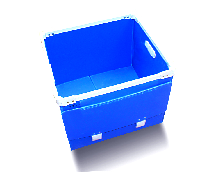 1536797995653927.jpg IMG_2094.jpg