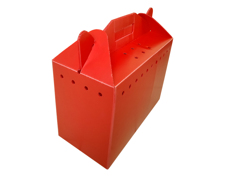 塑膠紙箱 塑膠紙箱